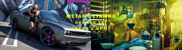 мяу мяу мука Белокуриха