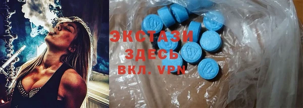 apvp Богданович